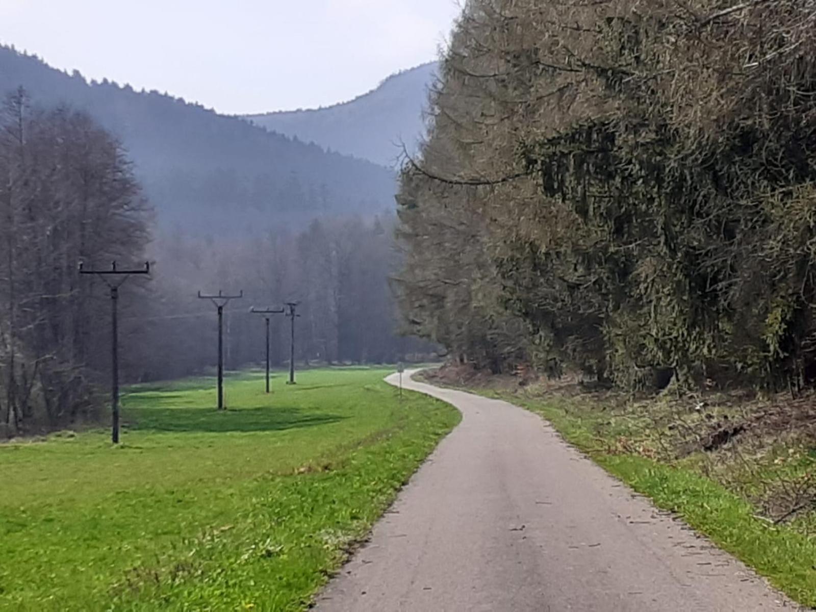 Otulina Dom W Gorach Stolowych Pod Szczelincem Pogranicze Pl-Cz Radkow Exterior foto